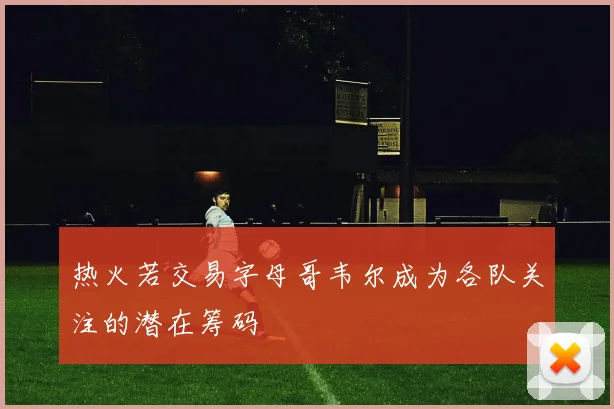 热火若交易字母哥韦尔成为各队关注的潜在筹码