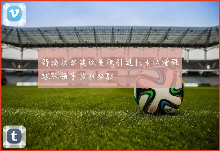 舒梅切尔建议曼联引进扎卡以增强球队领导力和经验