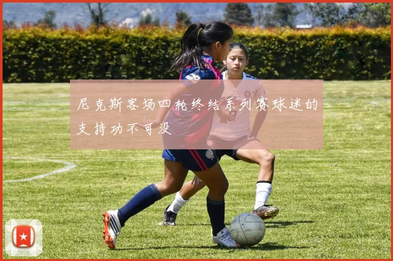 尼克斯客场四轮终结系列赛球迷的支持功不可没